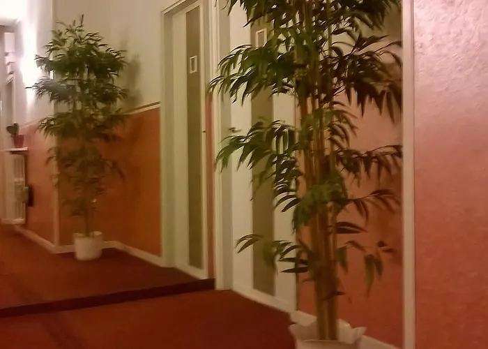 Hotel Rosy 2*