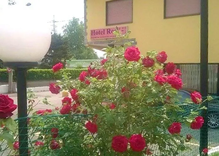 Rosy Otel