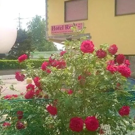 Rosy Hotel
