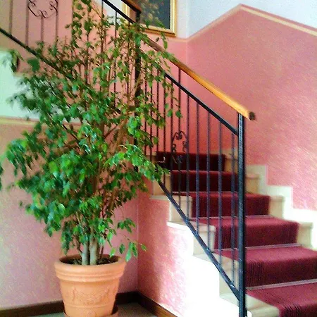 Rosy Hotel